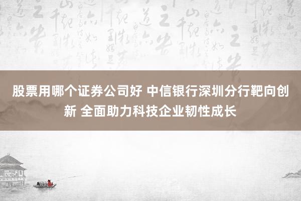 股票用哪个证券公司好 中信银行深圳分行靶向创新 全面助力科技企业韧性成长