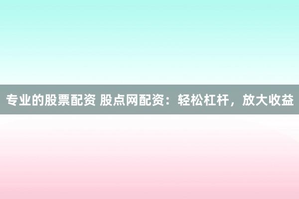 专业的股票配资 股点网配资：轻松杠杆，放大收益
