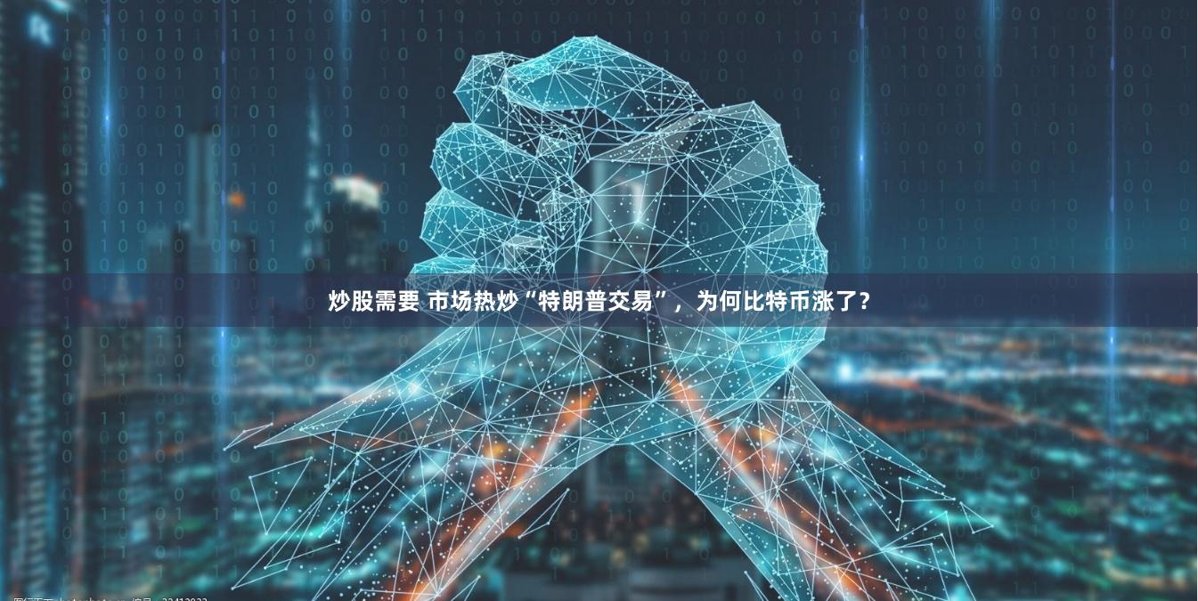 炒股需要 市场热炒“特朗普交易”，为何比特币涨了？